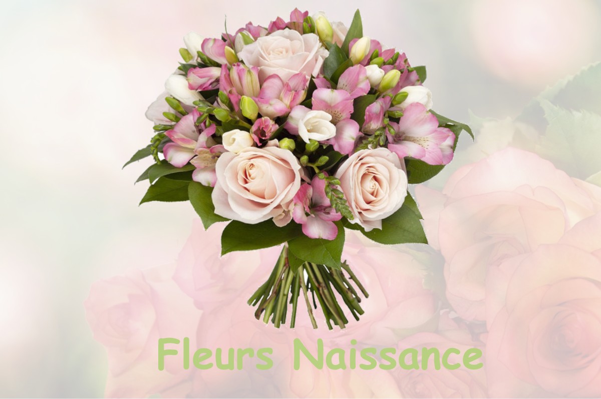 fleurs naissance LAILLY-EN-VAL